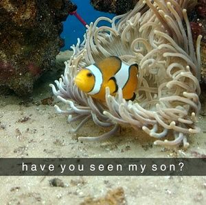 Meet your Posher, Anita